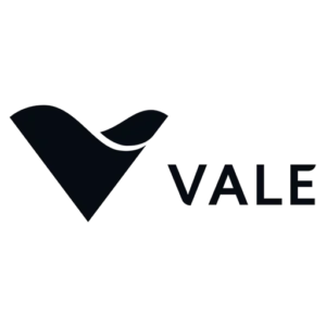 LOGO CLIENTE VALE V1